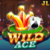 casino app Wild Ace slot game